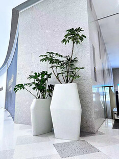 现代大厅中的绿植装饰花瓶