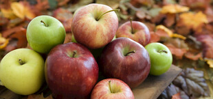 多彩苹果与落叶的秋日景象