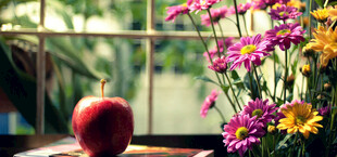 窗边苹果与多彩花卉