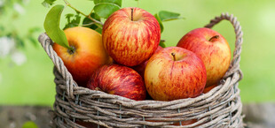 篮子里的新鲜红苹果