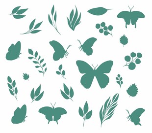 绿叶蝴蝶装饰图案元素