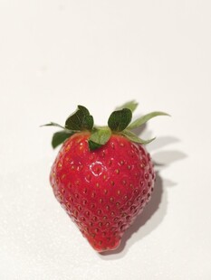 草莓