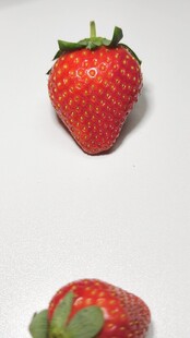草莓