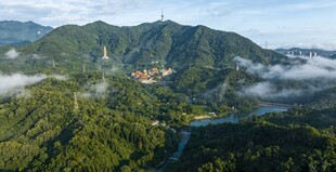 白云山云海间的翠绿风光