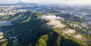 白云山云海壮阔自然景观