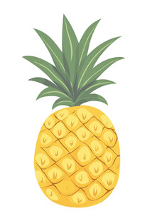 手绘菠萝插画