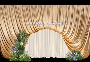 金色幔布婚礼迎宾区