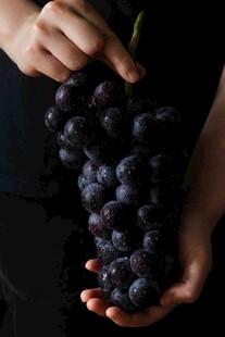 手捧紫葡萄