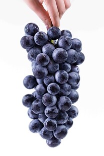 手捧紫葡萄特写