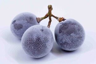 紫葡萄特写