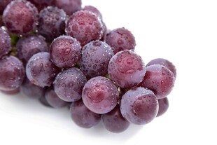紫葡萄特写