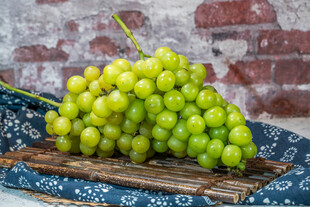 新鲜绿葡萄