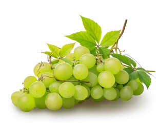 鲜绿葡萄带叶诱人展示