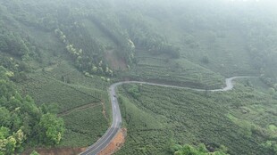 山间蜿蜒公路