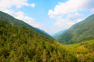 山间绿野美景