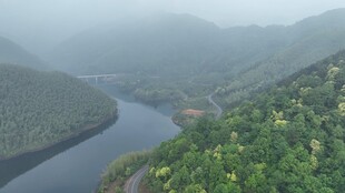 山间蜿蜒河流与葱郁植被