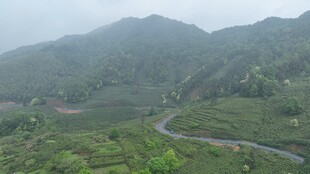 山间蜿蜒公路
