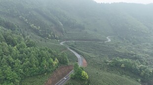 山间蜿蜒公路