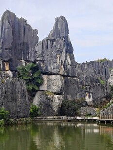 云南石林美景