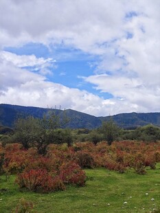 秋日山间绿地美景