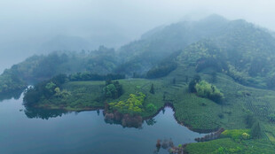 山水相依的秀丽湖景风光