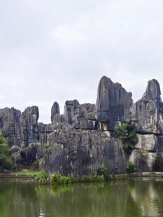 云南石林湖畔奇景