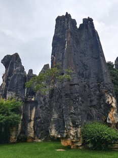 云南石林独特自然景观