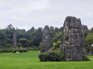 石林景观