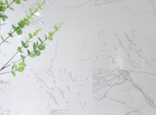 白色大理石上的翠绿枝叶