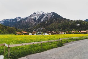 山间公路旁的田园美景