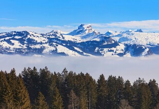 雪山森林云海壮丽景观