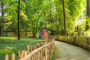 林间小径