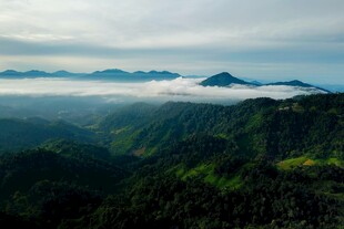 山间云海环绕的翠绿山峦
