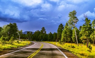 公路穿行于葱郁山林间