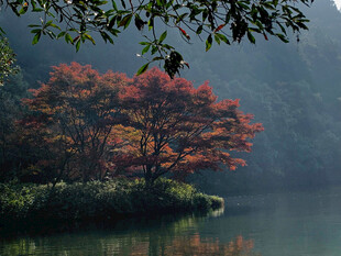 湖畔红枫秋景如画