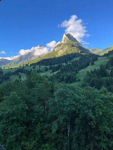 秀丽山峦与葱郁森林景观