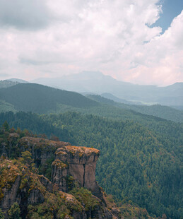 山巅远眺葱郁山林美景