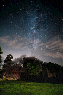 夜空下的草地与繁茂树林