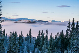 雪覆山林间的云海美景