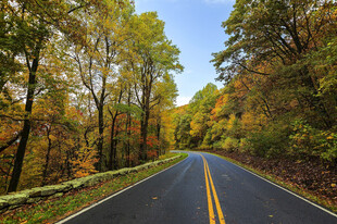 秋日林间公路美景