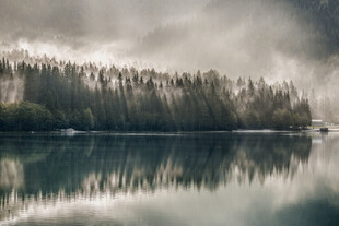 静谧湖畔森林倒影美景