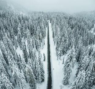 雪覆森林中的蜿蜒道路