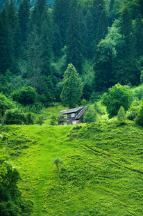 山林间的绿野小屋