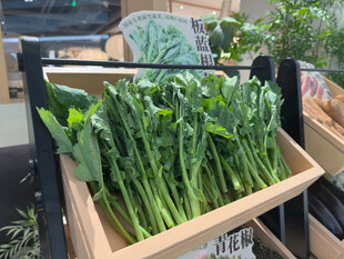 木盒中的新鲜绿色蔬菜