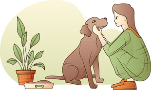 女子亲昵互动可爱棕色狗狗