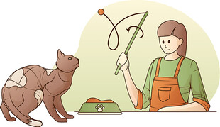 女子逗猫玩耍温馨场景