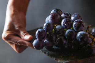 手捧紫葡萄的特写画面