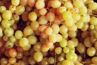 金黄饱满的葡萄果实