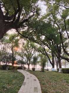 林间小径