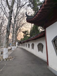 古墙小道冬日